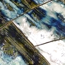 ��������Y�@����